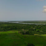 644bba81ddff1c8262f39e0f_parc national azagny 2 1