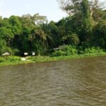 Parc-national-dAzagny-3-1024x512