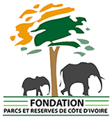 Fondation Parc CI