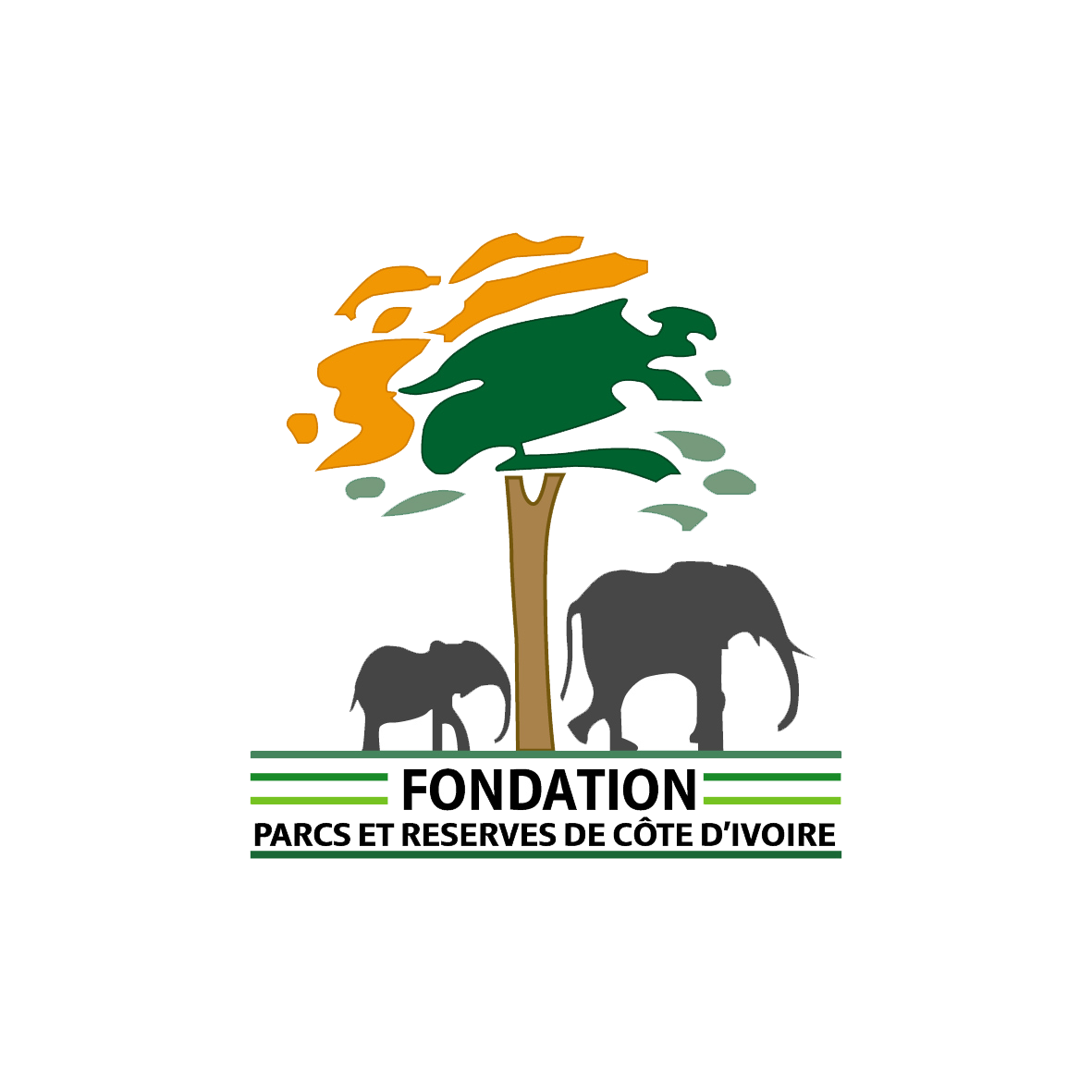 Fondation pour les Parcs & Réserves de Côte d'Ivoire